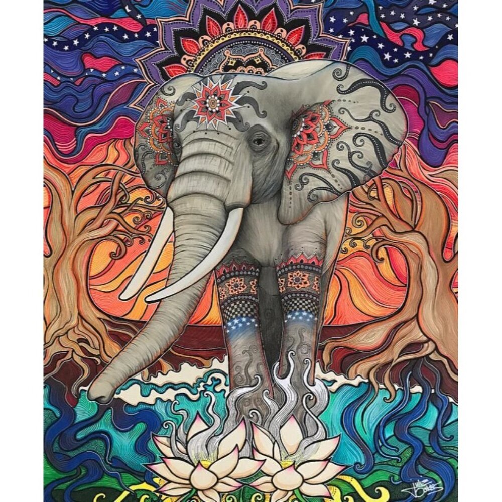 Elephant Enlightened Julie Oakes Twin Duvet Zip  Bed Cover Pillow Cases Colorful